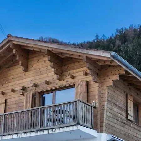 Panoramique Avec Vue Alpine A 180 Degres - Poele Scandinave & Nature *